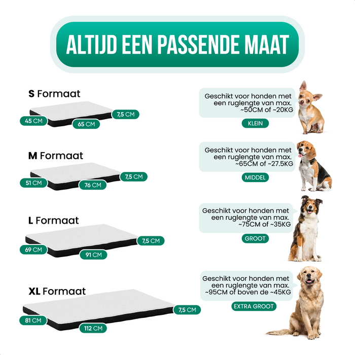 Avalo Orthopedisch Hondenkussen M - 76x51 cm - Wasbaar / Traagschuim / Antislip - Orthopedische Hondenmand