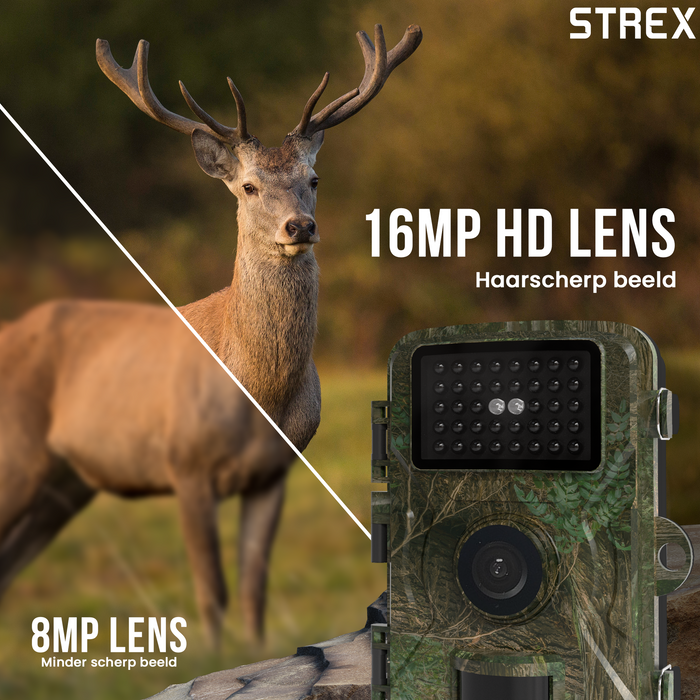 Strex Wildcamera met Nachtzicht - 16MP 1080P Full HD - Waterdicht - Jachtcamera - Wild Camera