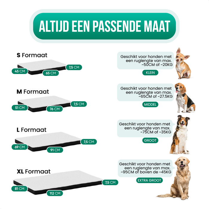 Avalo Orthopedisch Hondenkussen XL - 112x81 cm - Wasbaar / Traagschuim / Antislip - Orthopedische Hondenmand