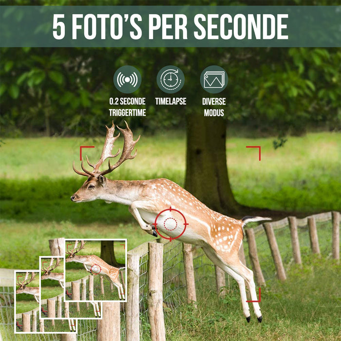 Strex Wildcamera met WiFi en Nachtzicht - 120MP 4K ULTRA HD - Waterdicht - Incl. 32 GB SD - Wild Camera