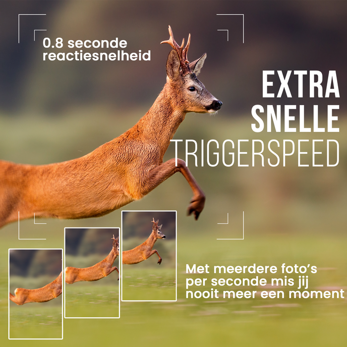 Strex Wildcamera met Nachtzicht - 16MP 1080P Full HD - Waterdicht - Jachtcamera - Wild Camera